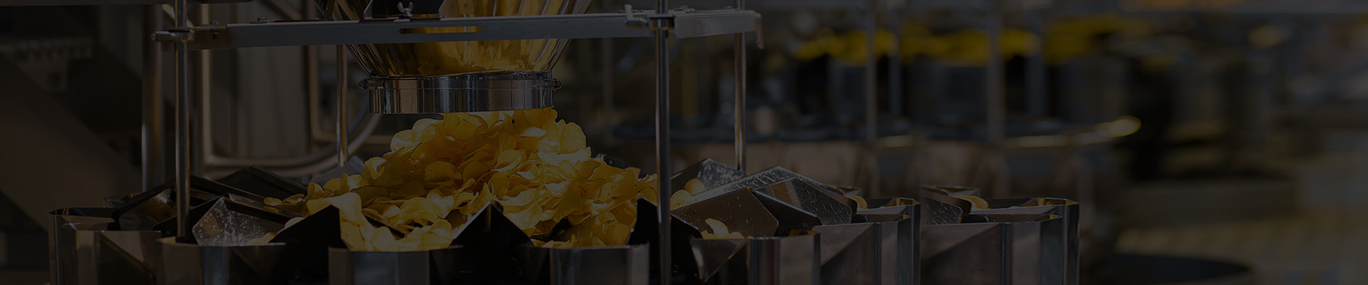 Premix Technologies industrial agitator dosing pump and chemical dosing system manufacturer in India